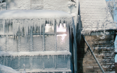 Winter Squatters: Strategies for Property Protection